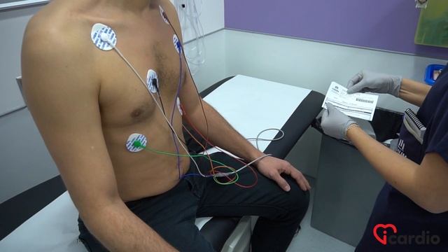 Holter смотреть онлайн