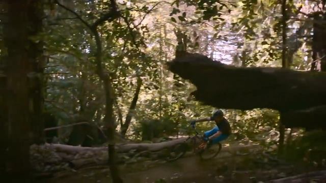 Mongoose Teocali Expert