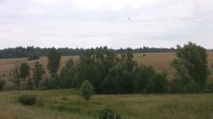 Федоровка