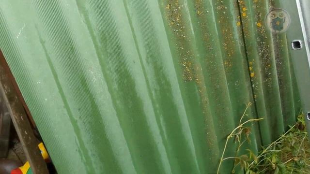 Чистота: забота о здоровье и уюте