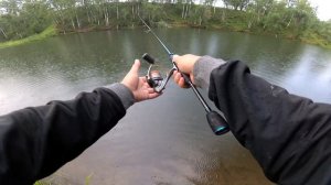 СПЛИТ ШОТ КОСИТ ОКУНЕЙ