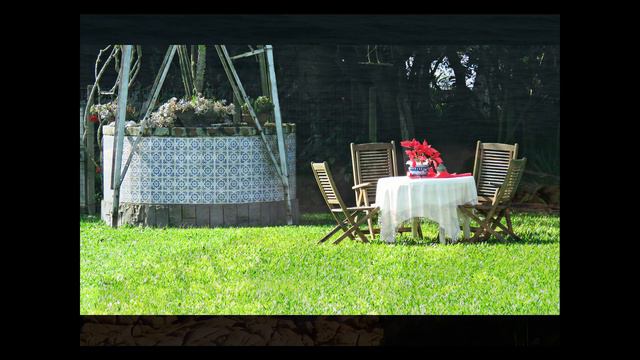 Ronaldo Almeida - Photographer смотреть онлайн