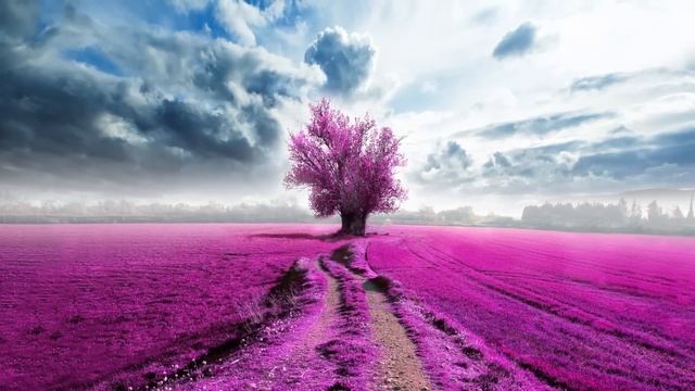 Relaxing Piano Music: Meditation Music, Sleep Music, Relaxing Music, Calming Music ★79