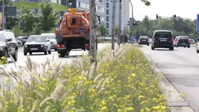 ЗАЧЕМ в германских ГОРОДАХ создают ПЕРМАКУЛЬТУРНЫЕ сады? (in Russian) смотреть онлайн