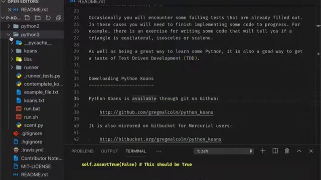 7.1 Python Exercises | Sierra смотреть онлайн