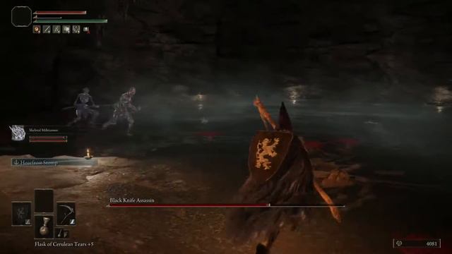 Black Knife Assassin SL1 Sage's Cave (Concealing Veil location) #ELDENRING смотреть онлайн