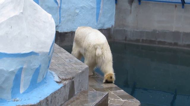 Кай и Герда 25.04.15 смотреть онлайн