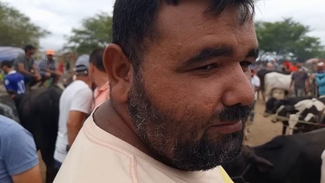 GADO DE LUXO SÓ EM CACHOEIRINHA-PE 16-11-2023 #nordeste смотреть онлайн