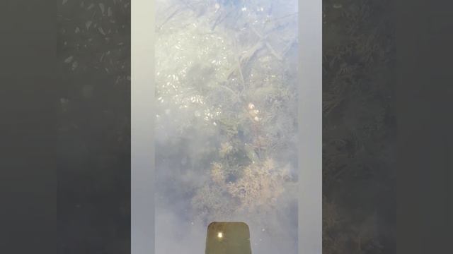 Маныч, рыбалка,отдых. смотреть онлайн