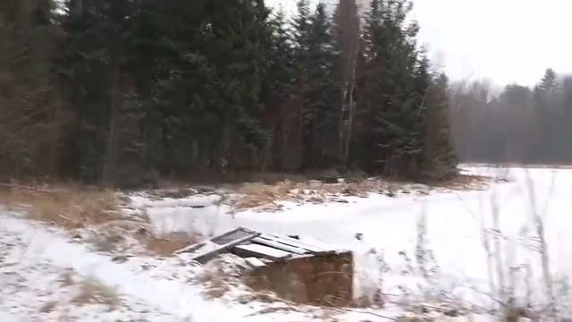 Сказочный зимний лес. Прогулка по зимнему лесу смотреть онлайн