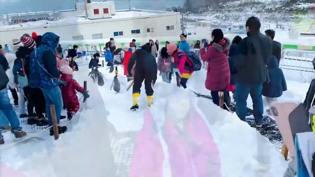 Otaru - Hokkaido Aquarium with kids! смотреть онлайн