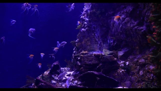 Музыка для медитаций