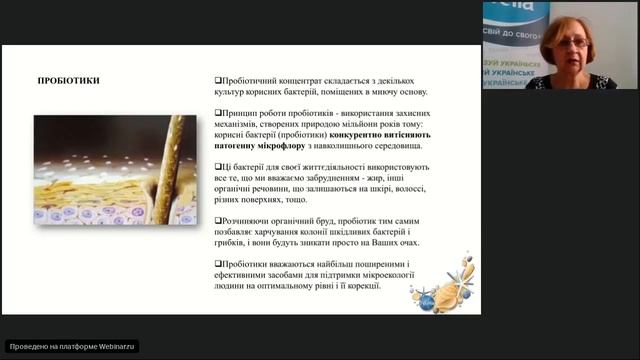 Презентация 9 каталога смотреть онлайн