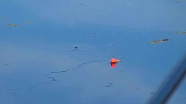 В ЗАБЫТОМ БОГОМ ПРУДУ РЫБАЧИМ НА УДОЧКУ С БРАТОМ смотреть онлайн