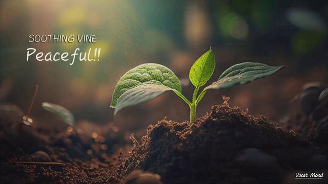 Vacat Mood-Soothing Vine Peaceful Relaxation Beautiful Outdoor View Music Meditation Sounds смотреть онлайн