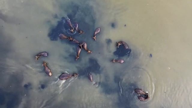 10 Best Places to visit in South Africa – Travel Video смотреть онлайн