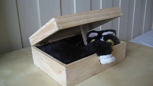 Cat In A Box - A Useless Machine смотреть онлайн