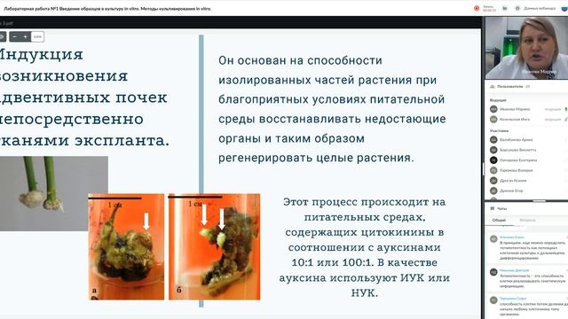 Лабораторная работа №1 Введение образцов в культуру in vitro Методы культивирования in vitro смотреть онлайн
