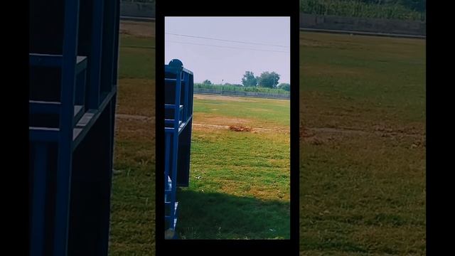 hamry apny shehr rukn pur me play ground bn raha hh | Makhdoom Hashim java bakht | makhdoom khusro смотреть онлайн