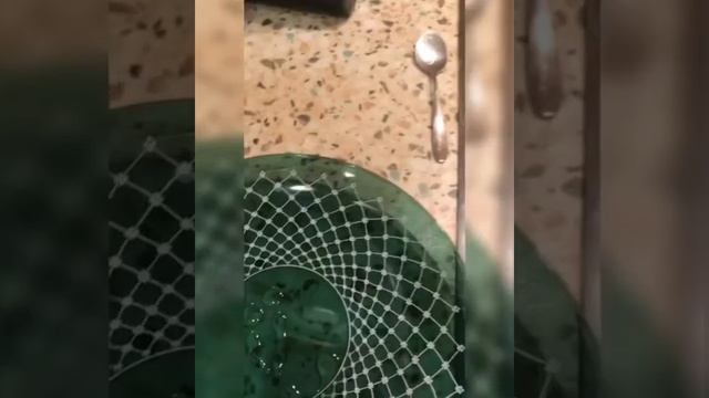 Фирменный омлет смотреть онлайн