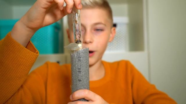 А что ЕСЛИ...Муравьи в моем доме! And what if ... Ants in my house! смотреть онлайн
