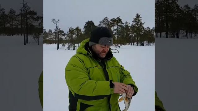 Рыбалка...За крупным окунем. смотреть онлайн