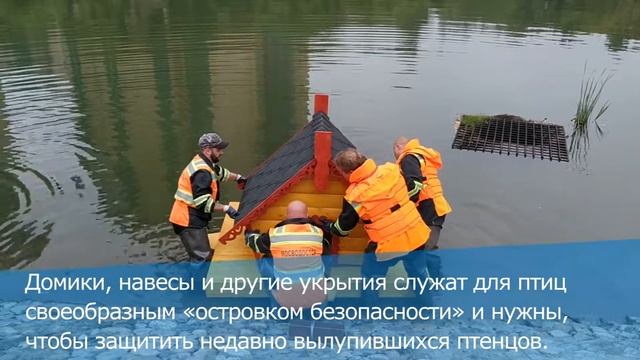 Установка домиков на Бирюлевских прудах смотреть онлайн