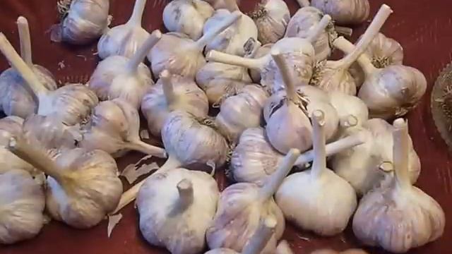 и снова о чесноке смотреть онлайн