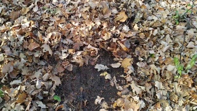 поиски металла смотреть онлайн