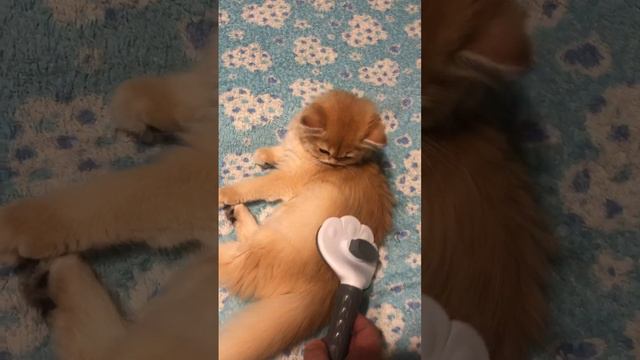 Навожу красоту