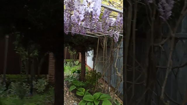 Сохраним на память наше лето смотреть онлайн