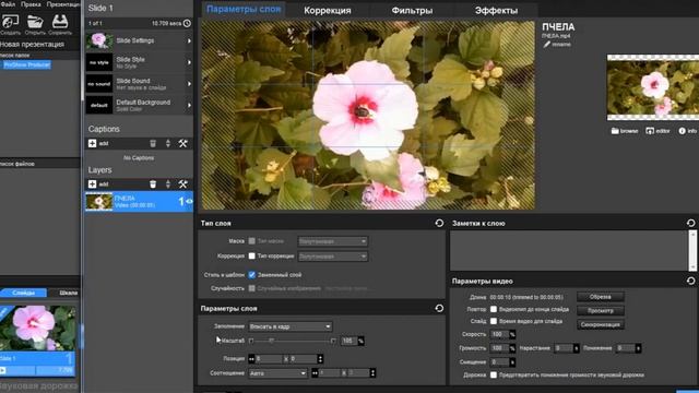 Урок 8 Как сделать видео Обрезка видео, вывод видео, проект в ProShow Producer смотреть онлайн