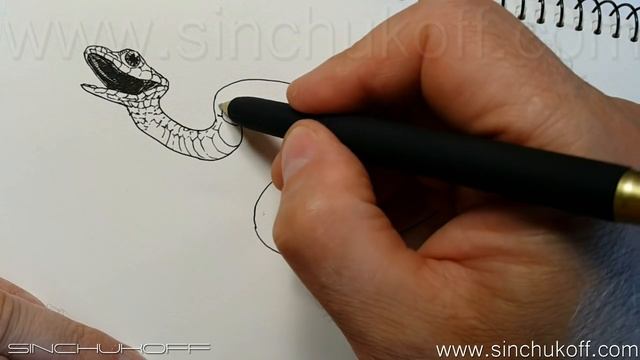 Как нарисовать змею гелевой ручкой смотреть онлайн