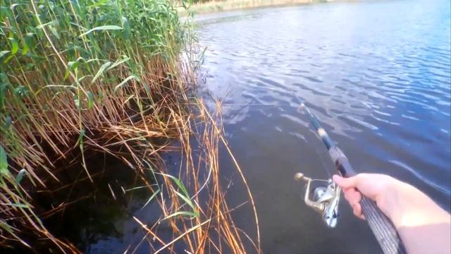 Ого!!! Что-то оборвало леску! Ловля карася на боковой кивок смотреть онлайн