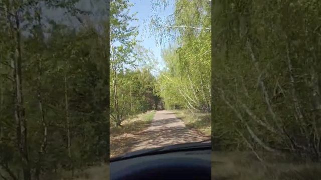 Чем можно заняться на самоизоляции...СТРОЙКОЙ.. смотреть онлайн