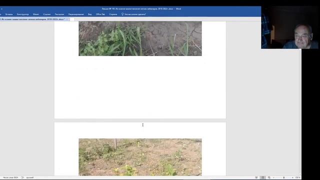 Железов Валерий. Вебинар 193. О прививке персика на войлочную вишню. смотреть онлайн