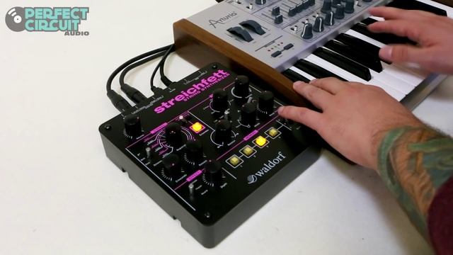 Waldorf Streichfett Demo