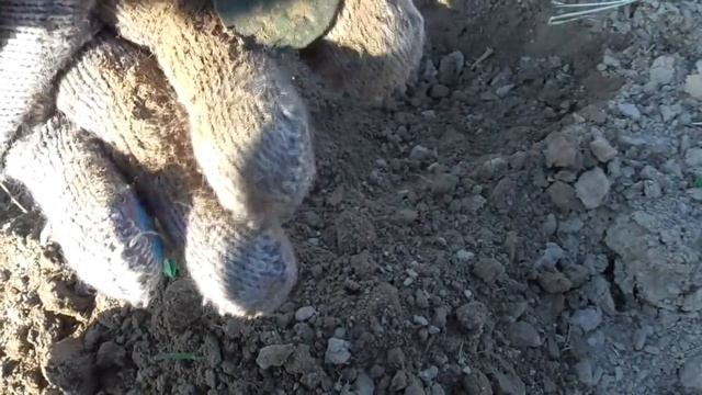 Распаханная деревня. День первый. Моя "рыжая" прелесть! Первое золото сезона 2018! смотреть онлайн