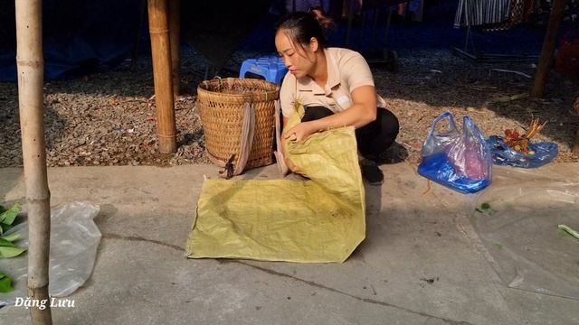 Orphan Boy - Harvest natural fruits to sell in the market - Đặng Lưu смотреть онлайн