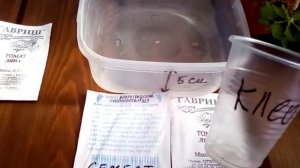 Томаты для жаркого юга.Вкусные,ароматные! #томатыранние