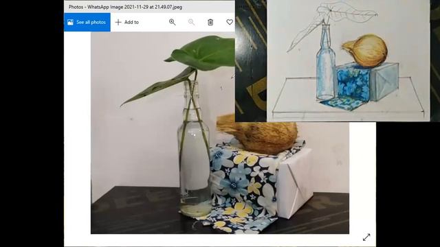 Object Drawing(student) Bottle, Coconut, Anthurium and box. смотреть онлайн