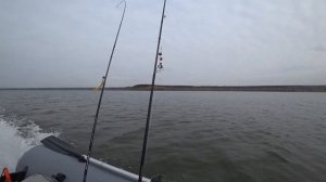 ЛОВЛЯ СУДАКА НА ДЖИГ В НОВОСИБИРСКЕ / РЫБАЛКА НА БЕРДСКОМ ЗАЛИВЕ.