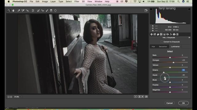 Photoshop Tutorial Brown Effect Color Tone смотреть онлайн
