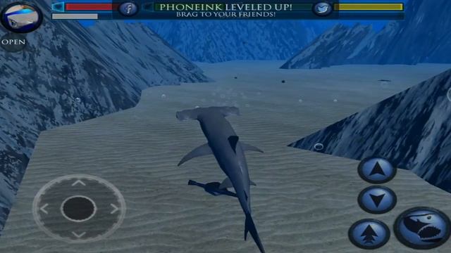 Ultimate Shark Simulator -Hammerhead Shark- Android/iOS - Gameplay Part 1 смотреть онлайн