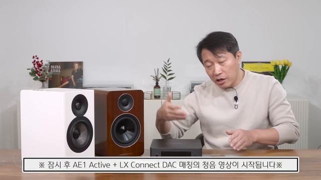 100만원대 액티브 스피커 이걸로 종결! 대박 가성비의 Acoustic Energy AE1 Active 액티브 스피커 리뷰 (feat. LX Connect DAC) смотреть онлайн
