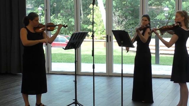 Purcell "Madrigal" for Three Violins #NorthJerseyViolinist #BaroqueMusic #3Violins смотреть онлайн