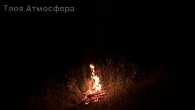 Звуки лягушек и сверчков у костра смотреть онлайн