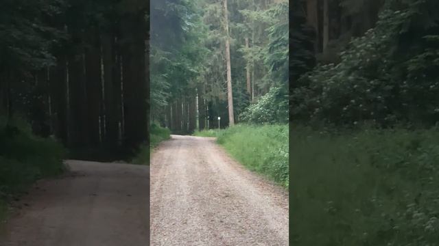 iphone X HD 30fps maxZoom | SONY | CX405 смотреть онлайн