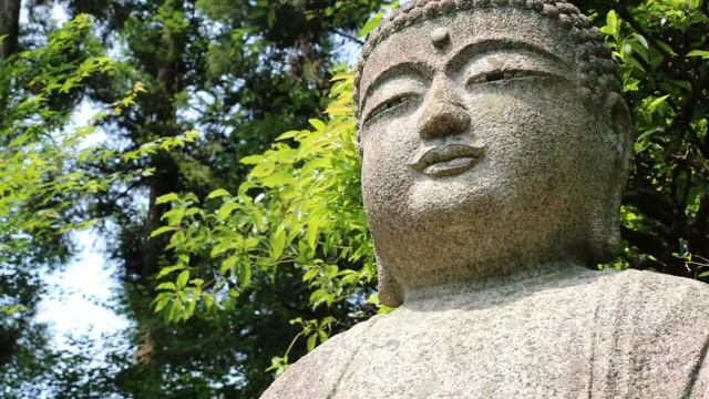 Chinese Instrumental Music | Flute Erhu music | Zen music | oriental music | chinese music смотреть онлайн