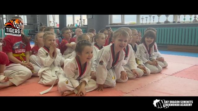 Tiger Taekwondo team 2022 смотреть онлайн